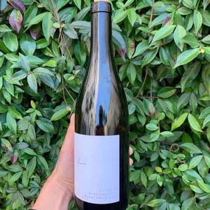 Weingut Claus Preisinger - Claus Preisinger - Blaufränkisch Kalkstein