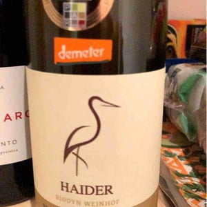 Blaufränkisch natural - Biodyn Weinhof Haider - Berthold & Eva Haider 