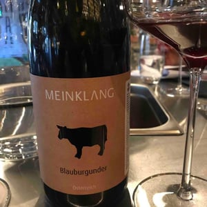 Blaufränkisch - Meinklang - Weingut Michlits - Angela & Werner Michlits 