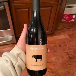 Blaufränkisch - Meinklang - Weingut Michlits - angela-werner-michlits