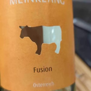 Blaufränkisch - Meinklang - Weingut Michlits - angela-werner-michlits