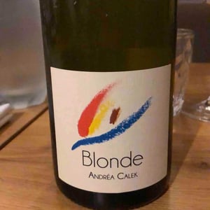 Blonde - Andrea Calek - andrea-calek-et-stephana-nicolescu