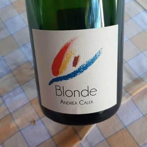 Blonde - Andrea Calek - andrea-calek-et-stephana-nicolescu