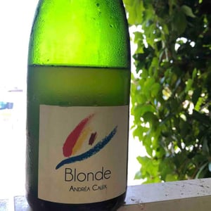 Blonde - Andrea Calek - andrea-calek-et-stephana-nicolescu
