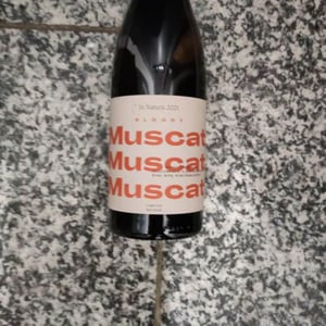 Bloody Muscat - Weingut Schödl Family - Mathias, Viktoria & Leonhard Schödl -2021