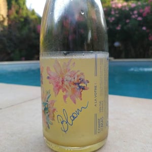 La Combe au Mas - Marie-Sophie Jullien & Thomas Ayoun - Bloom