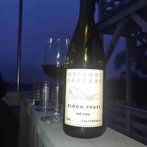 Bloom Phase: Savage Method - Methode Sauvage - Iruai - chad-hinds