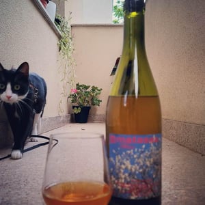 Blossom - Domaine Matassa - tom-lubbe