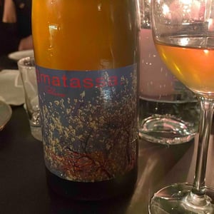 Blossom - Domaine Matassa - tom-lubbe