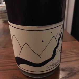 Blossoms - Gentle Folk Wines - Gareth & Rainbo Belton 