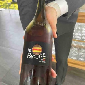 Blouge - Desiree Petit - anne-laure-et-damien-petit