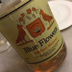 Blue Flowers - Vins Hodgson - Mai & Kenji Hodgson 