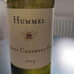 Kékfrankos - Hummel Pincészet - Weingut Hummel - Horst Hummel 
