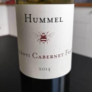 Kékfrankos - Hummel Pincészet - Weingut Hummel - Horst Hummel 