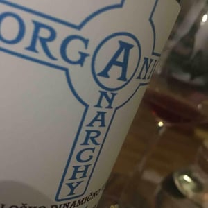 Modri Pinot 2017