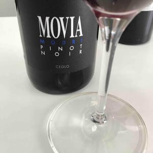 Modri Pinot - Movia - ales-kristancic