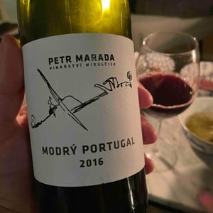 Modry Portugal - Vinařství Petr Marada - petr-marada