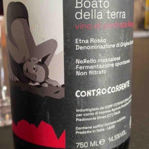 Boato della Terra - Controcorrente - antonino-cali -2024