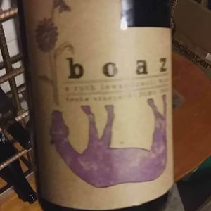 Boaz - Ruth Lewandowski Wines - Evan Lewandowski 
