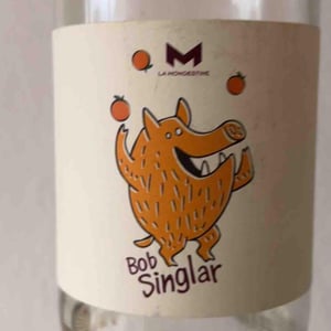 Bob Singlar Orange - Domaine de la Mongestine - maxime-gamard-celine-harry-gozlan -2022