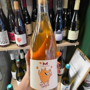 Bob Singlar Orange - Domaine de la Mongestine - maxime-gamard-celine-harry-gozlan -2022