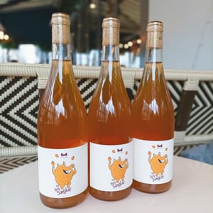 Bob Singlar Orange - Domaine de la Mongestine - maxime-gamard-celine-harry-gozlan -2022