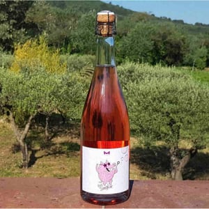 Bob Singlar Pétillant Rosé - Domaine de la Mongestine - maxime-gamard-celine-harry-gozlan
