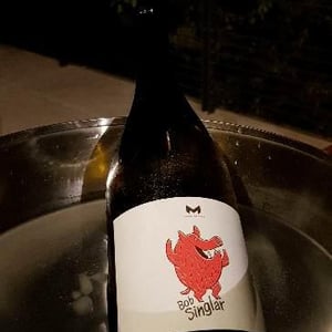 Bob Singlar Rouge - Domaine de la Mongestine - maxime-gamard-celine-harry-gozlan