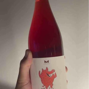 Domaine de la Mongestine - Maxime Gamard , Céline & Harry Gozlan - Bob Singlar Rouge