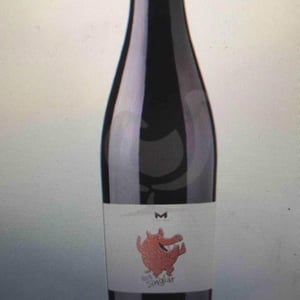 Bob Singlar Rouge - Domaine de la Mongestine - maxime-gamard-celine-harry-gozlan