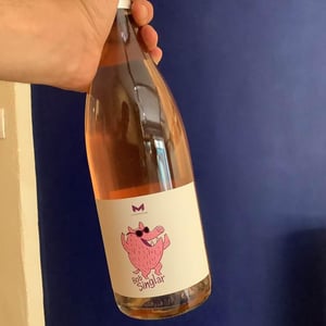 Bob Singlar Rosé - Domaine de la Mongestine - maxime-gamard-celine-harry-gozlan