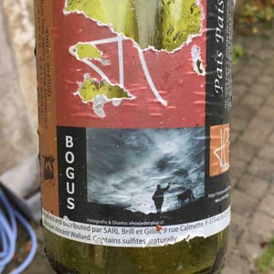 Bogus (White) - Domaine Beauthorey - Christophe Beau 
