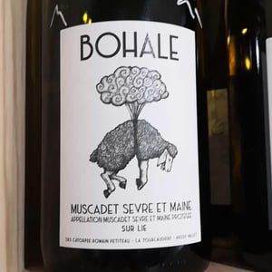 Bohale - Domaine de la Tourlaudière - Romain Petiteau 