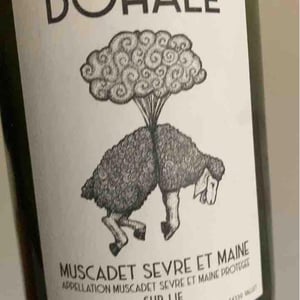 Bohale - Domaine de la Tourlaudière - romain-petiteau