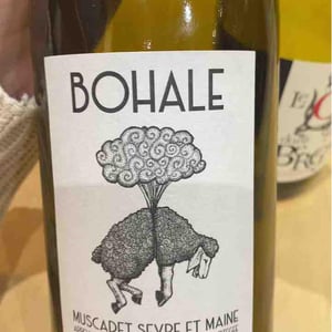 Bohale - Domaine de la Tourlaudière - romain-petiteau