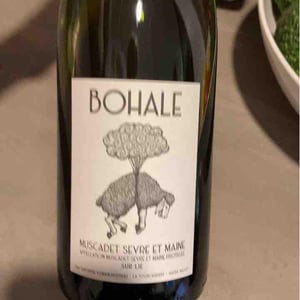 Bohale - Domaine de la Tourlaudière - romain-petiteau