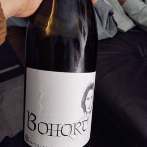 Bohort - Nicolas Suteau - Nicolas Suteau 
