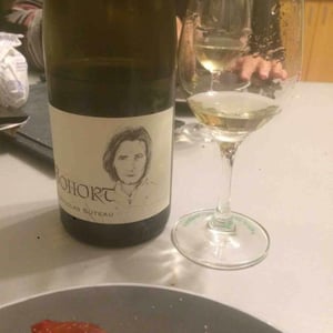 Bohort - Nicolas Suteau - nicolas-suteau