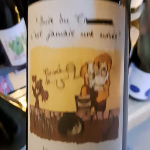 Boire Du Boire du Trou-trou N'Est Jamais Une Corvée - Domaine de l'Octavin - Alice Bouvot 