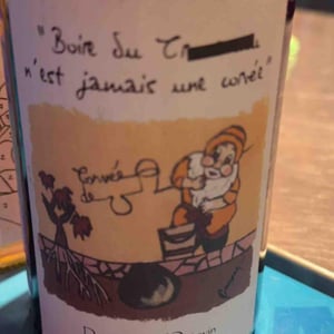 Boire Du Boire du Trou-trou N'Est Jamais Une Corvée - Domaine de l'Octavin - Alice Bouvot 