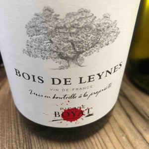 Bois de Leynes - Pierre Boyat - Pierre Boyat 
