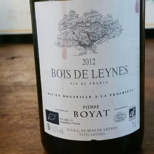 Bois de Leynes - Pierre Boyat - Pierre Boyat 