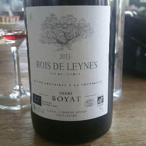 Bois de Leynes - Pierre Boyat - Pierre Boyat 