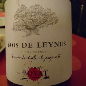 Pierre Boyat - Pierre Boyat - Bois de Leynes