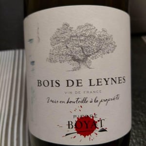 Pierre Boyat - Pierre Boyat - Bois de Leynes