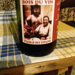 Bois du Vin t'auras des Copains (X Benjamin Taillandier) - Mas del Périé - Fabien Jouves 