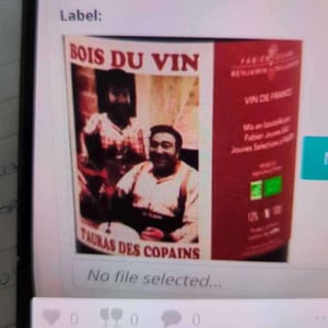 Bois du Vin t'auras des Copains (X Benjamin Taillandier) - Mas del Périé - Fabien Jouves 
