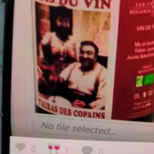 Bois du Vin t'auras des Copains (X Benjamin Taillandier) - Mas del Périé - Fabien Jouves 