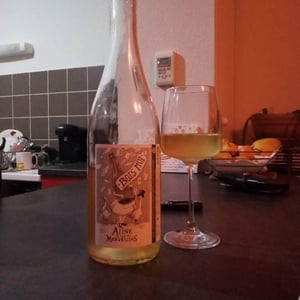 "Bois Moi" Aline Au Pays Des Merveilles - Domaine des Mathouans - aline-hock -2019