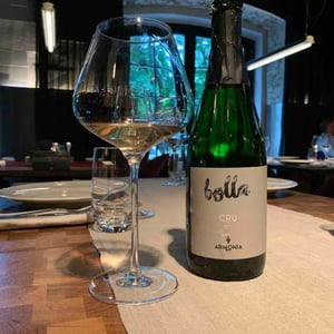Bolla Cru - Tenuta l'Armonia - Andrea Pendin 